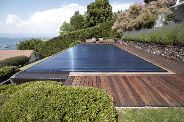 The day of the forest is the day of the swimming pool cover The day of the forest is the day of the swimming pool cover